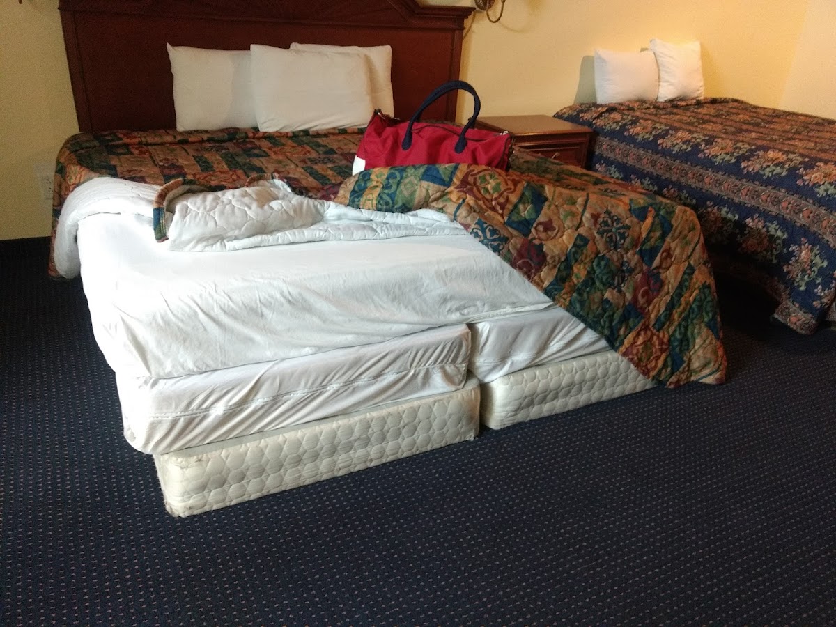 EXECUTIVE Inn & Suites photo 2