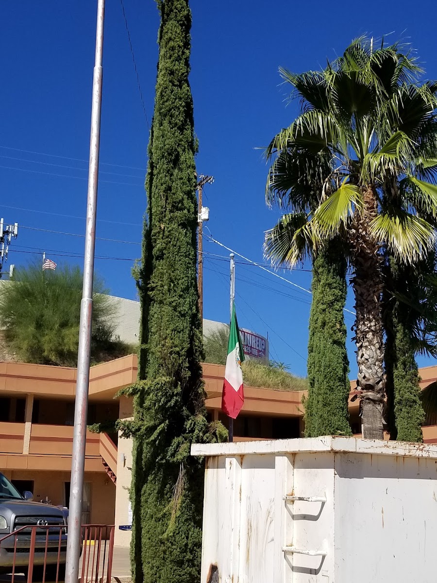 Siesta Motel photo 2