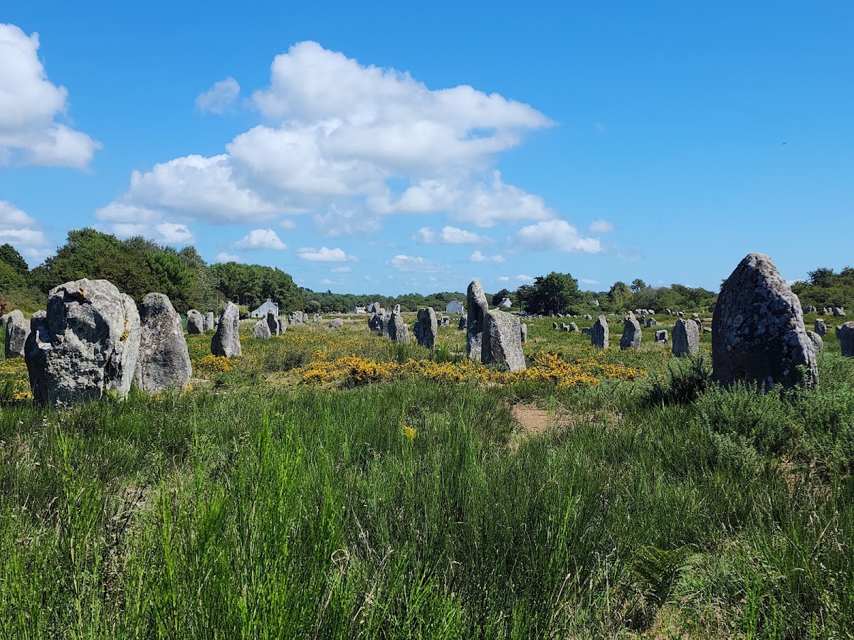 Alignements of Carnac