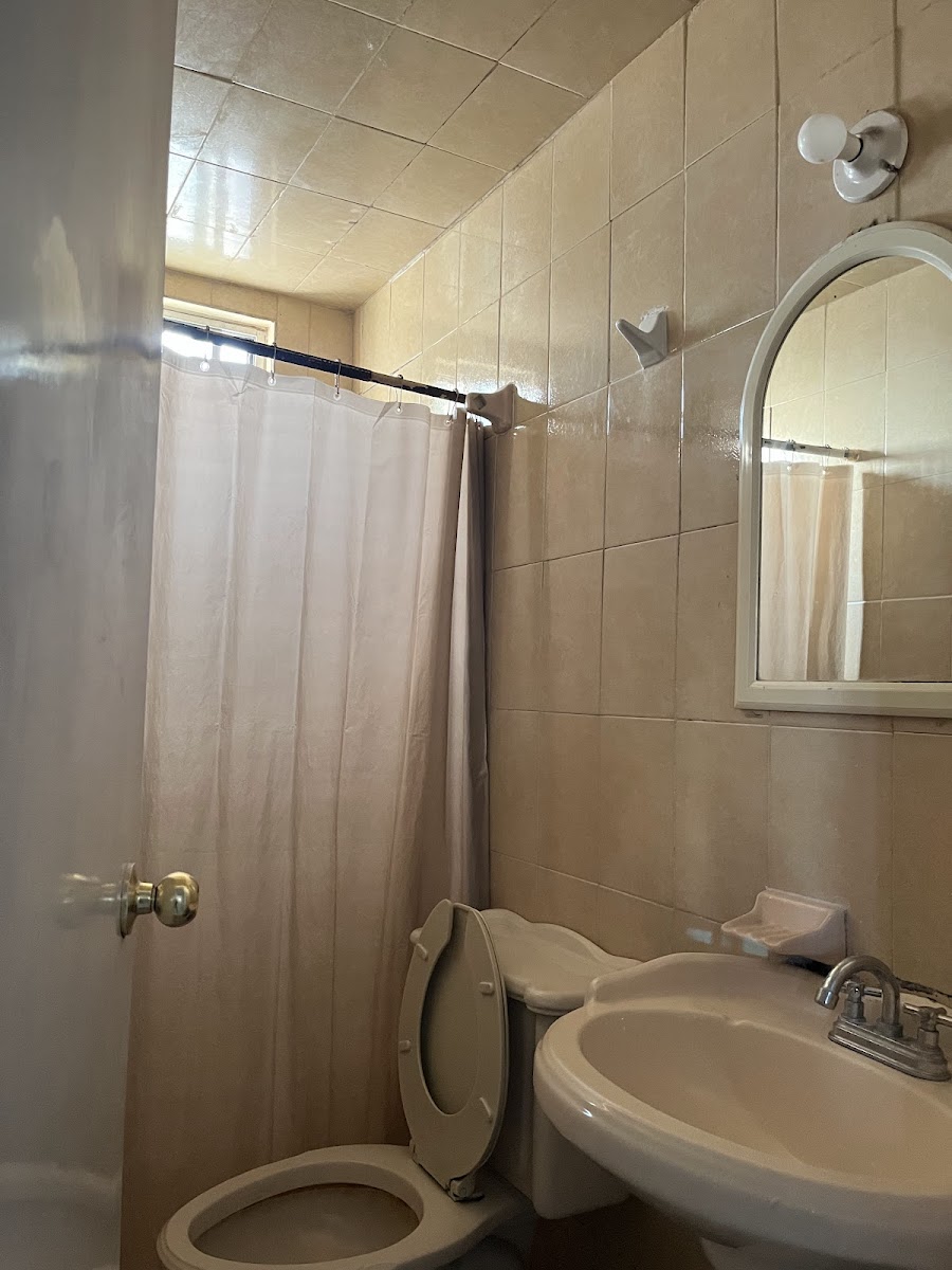 Hotel Oasis photo 3
