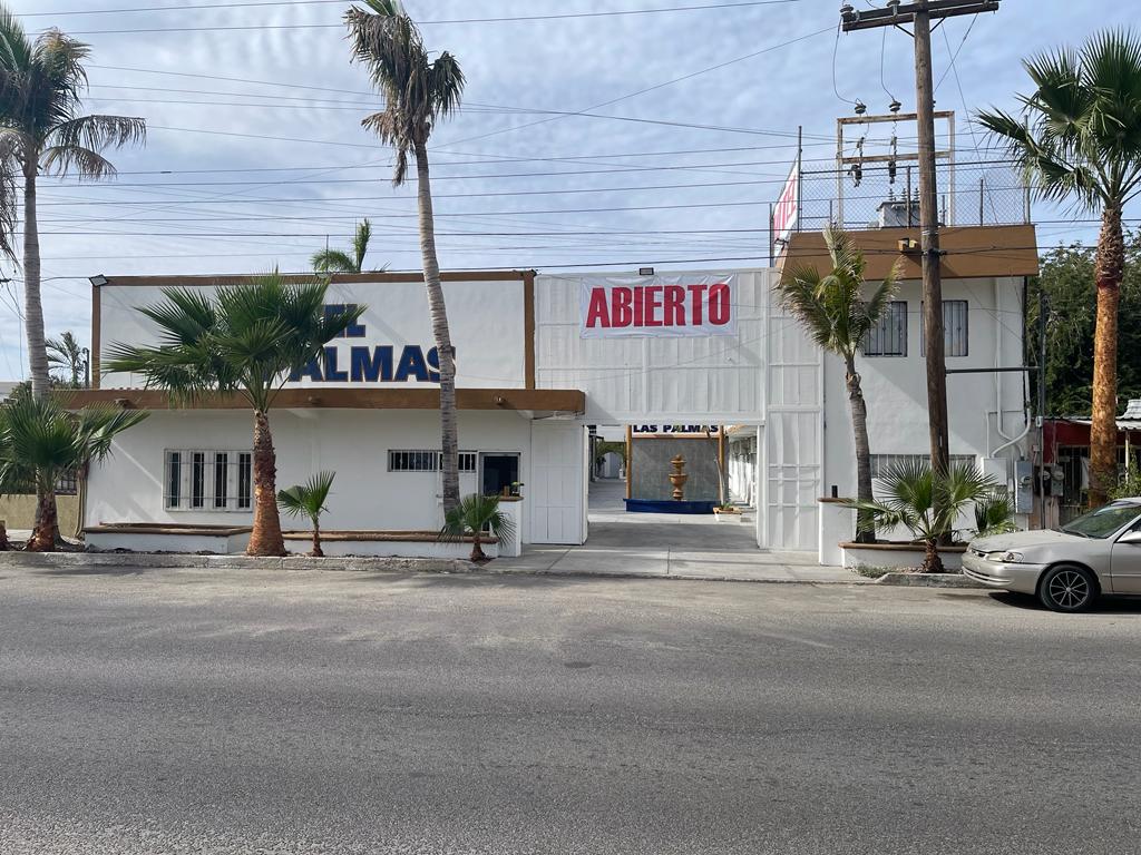 Hotel Las Palmas photo 3