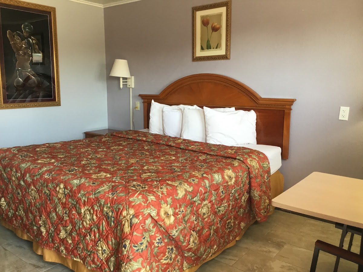 BUDGET INN