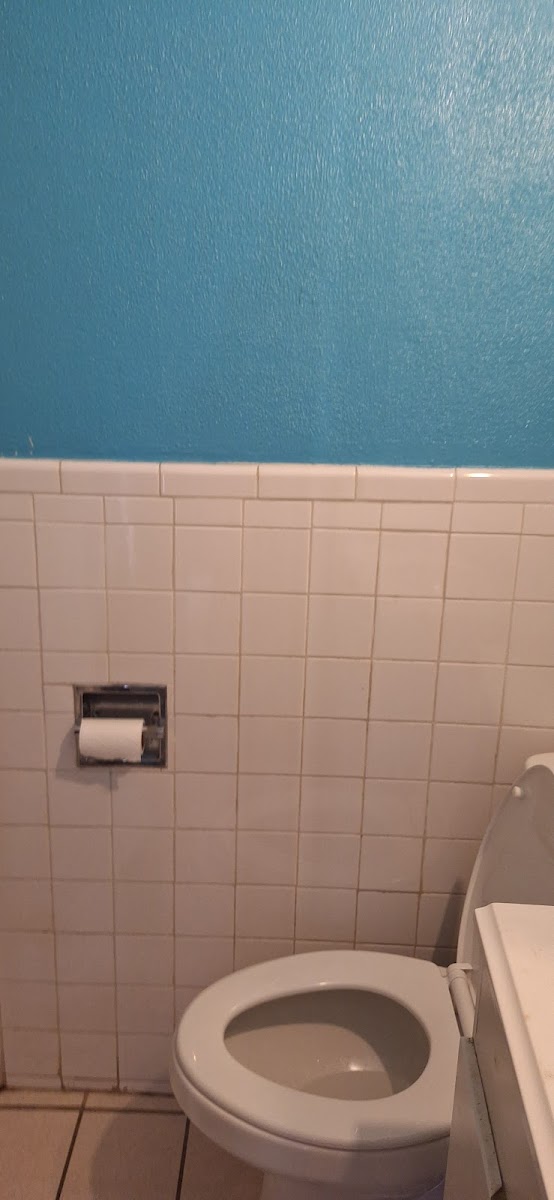 Budget Inn photo 3