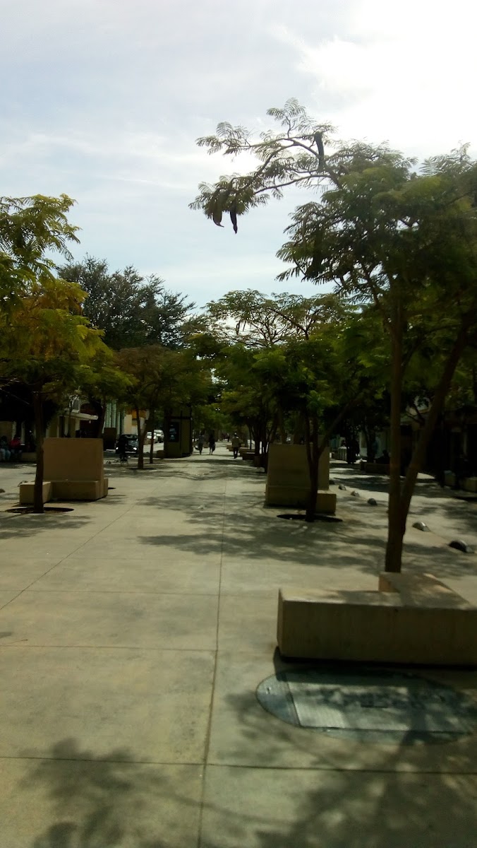 Hotel San Jorge photo 2