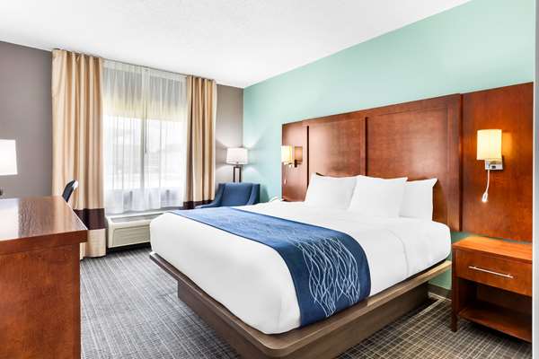 Comfort Inn photo 2