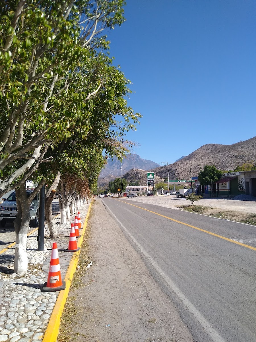 Hotel del Rio photo 3