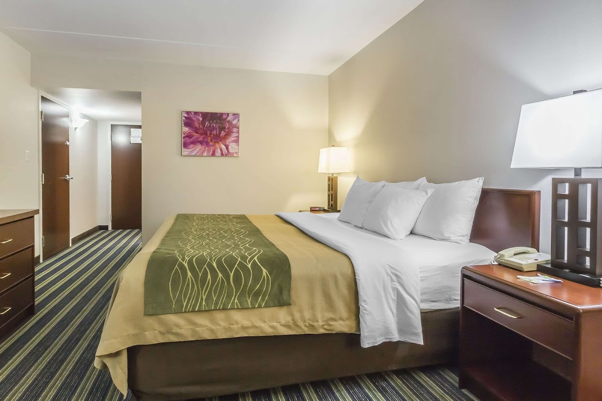 Comfort Inn & Suites photo 2