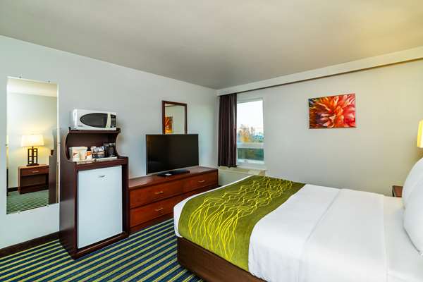 Comfort Inn & Suites photo 3