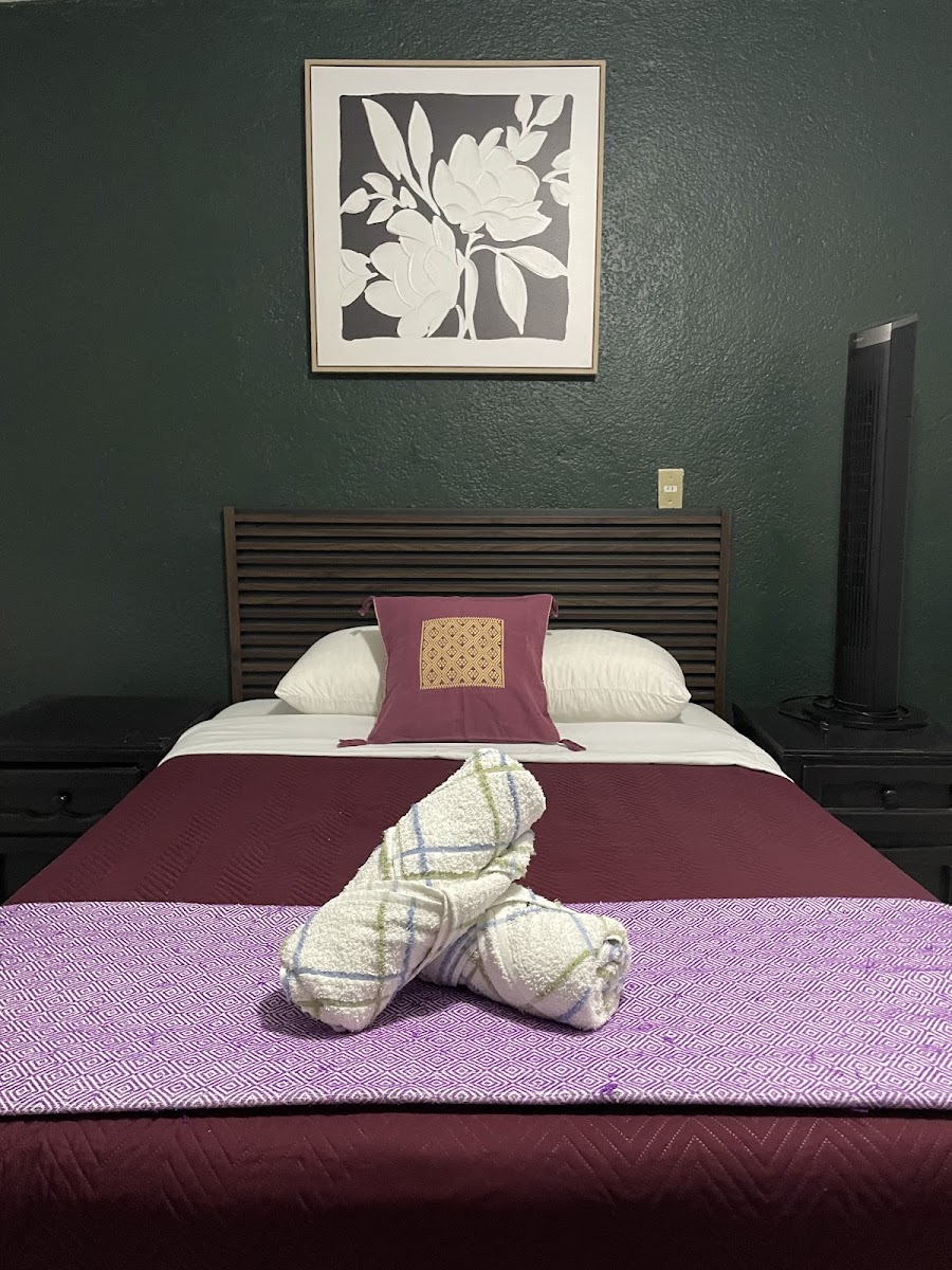 Hotel Olguín photo 2
