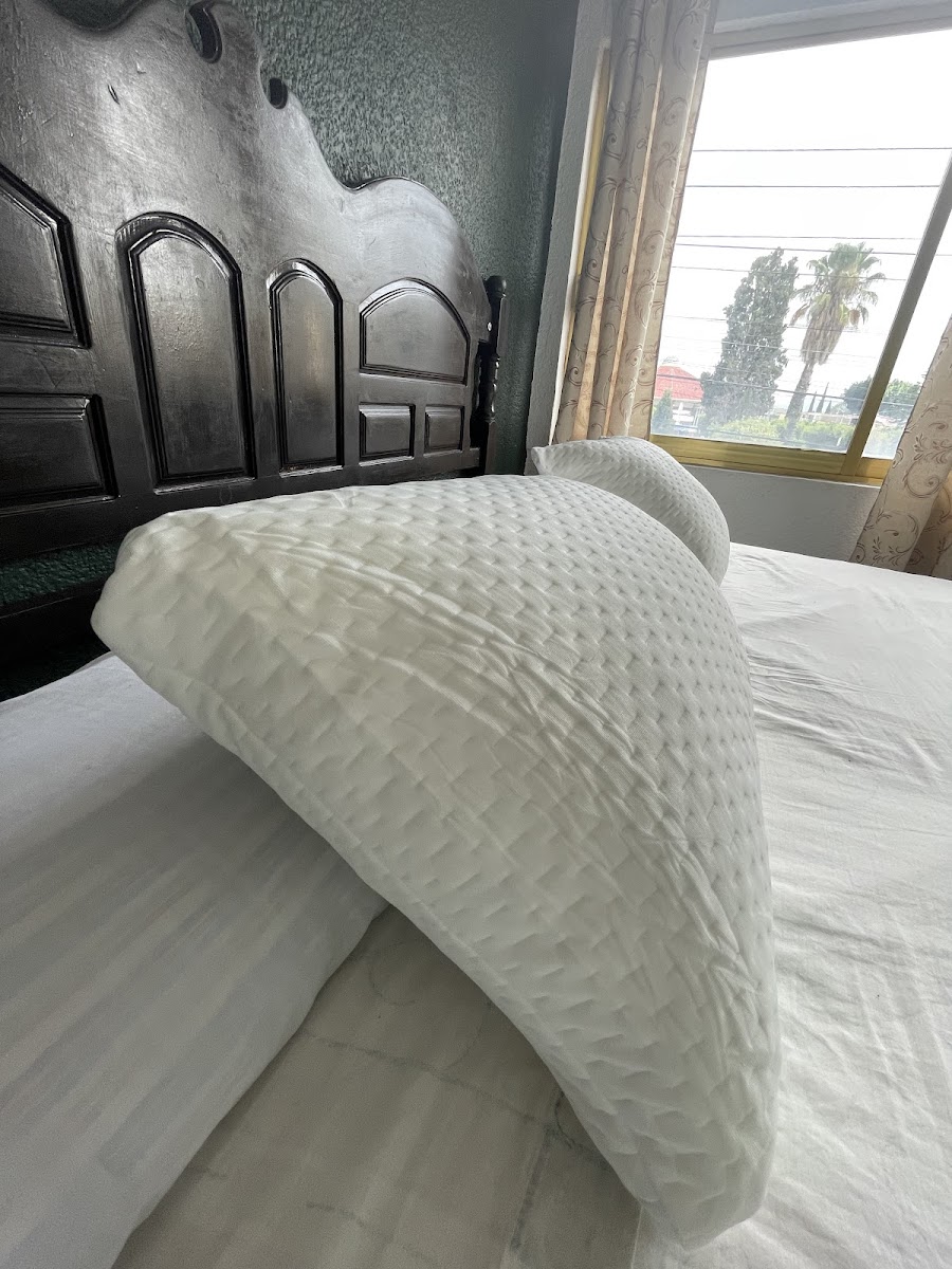 Hotel Olguín photo 3