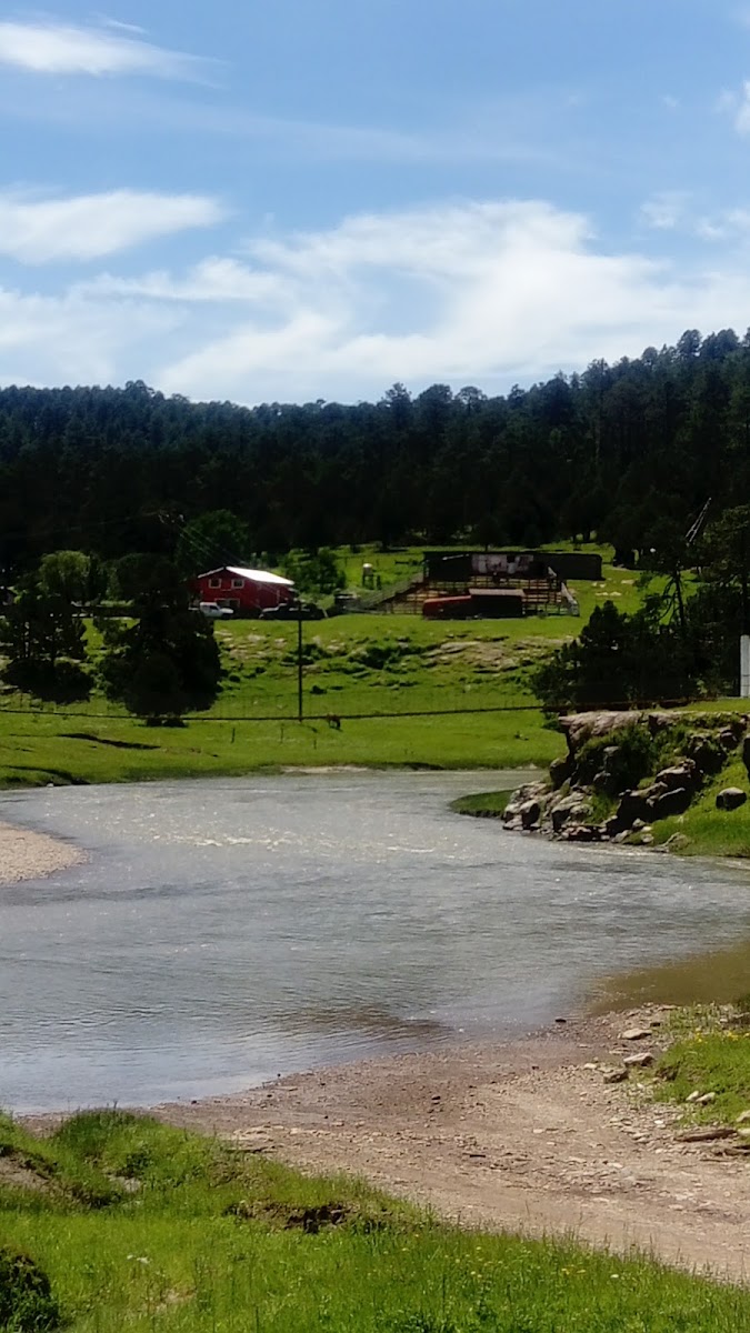 Hotel Los Pinos photo 2