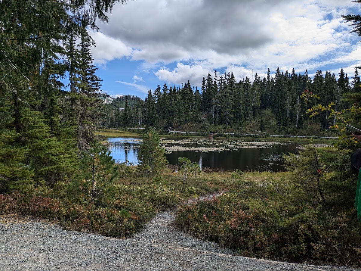 Forbidden Plateau