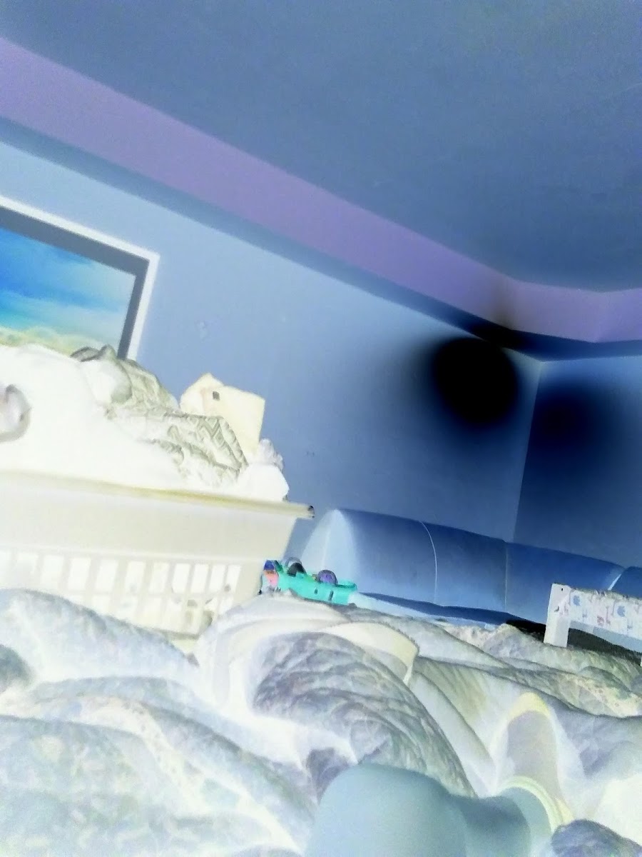 Skyline Motel photo 3