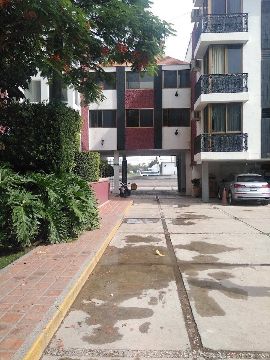 Hotel San Javier photo 3