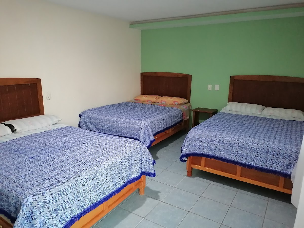 Hotel Oasis photo 2