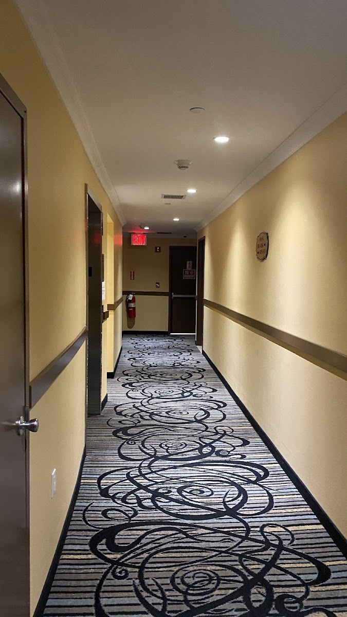 Queens Hotel photo 3