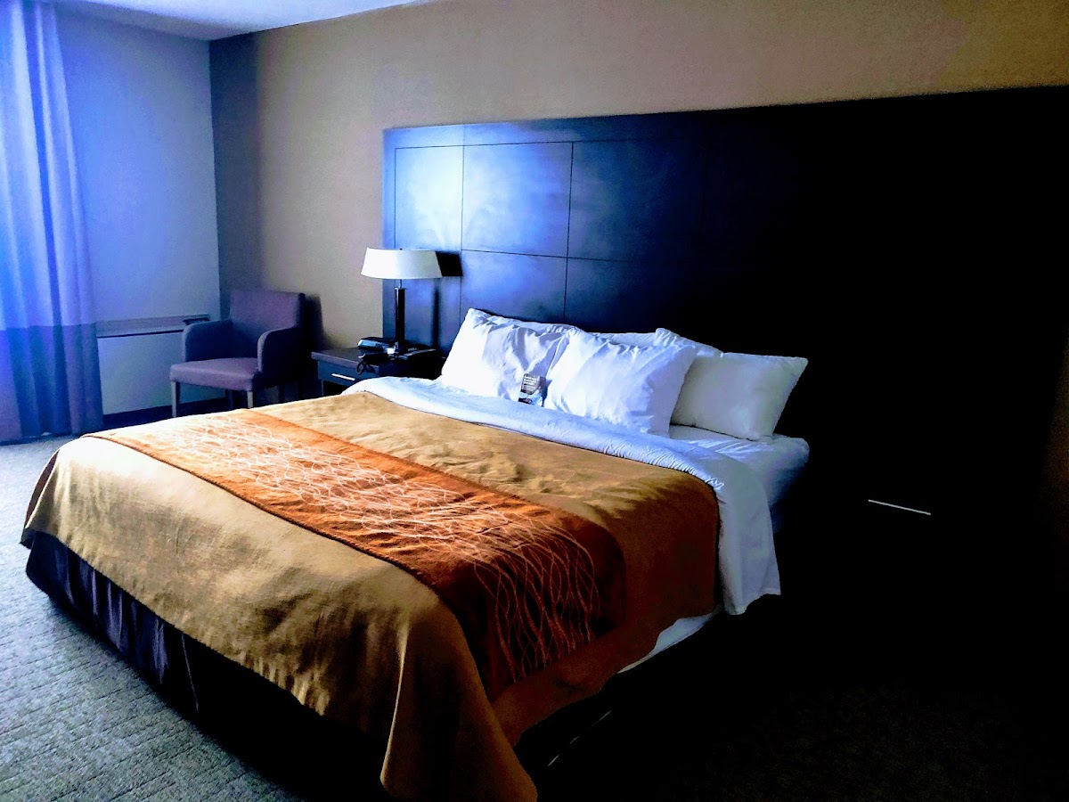 Comfort Inn photo 2