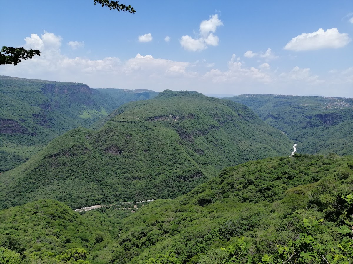Barranca de Oblatos