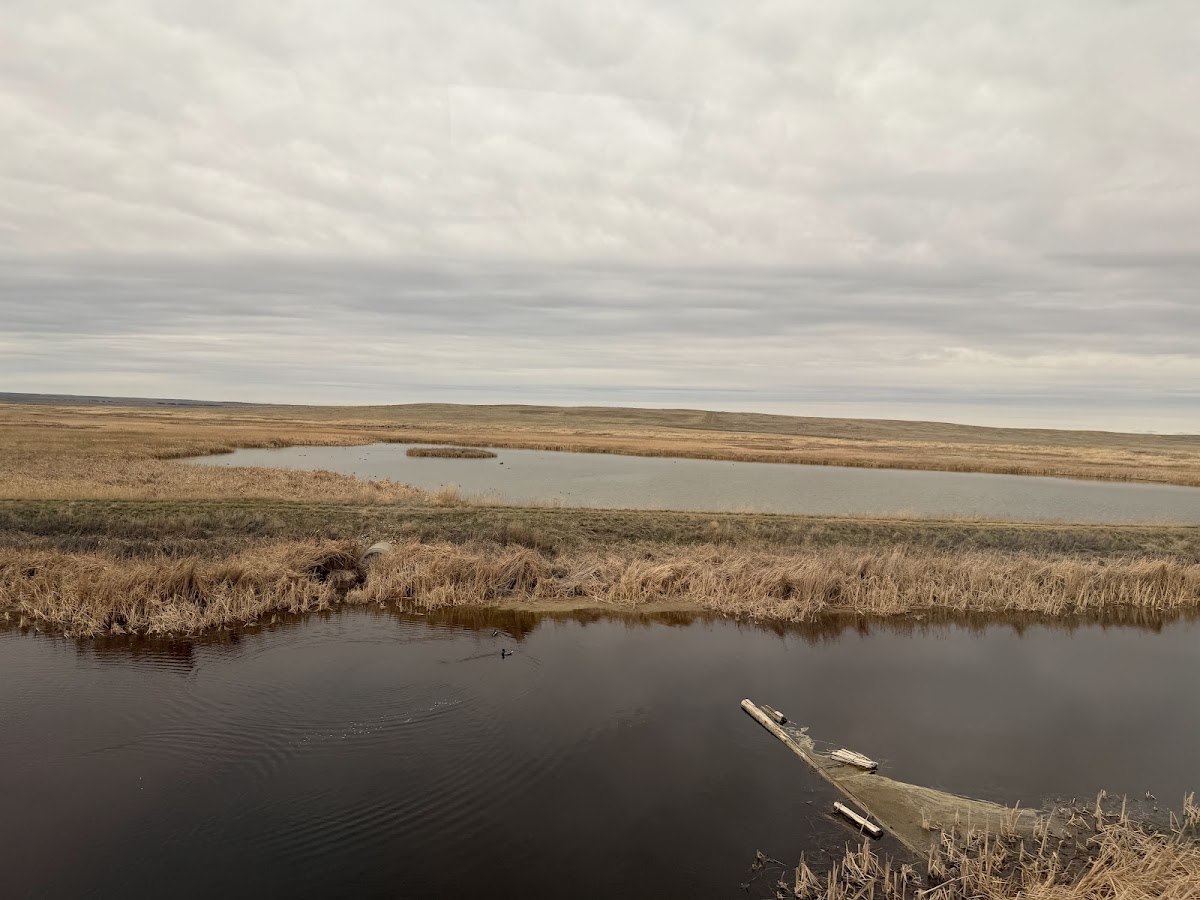 Bowdoin National Wildlife Refuge