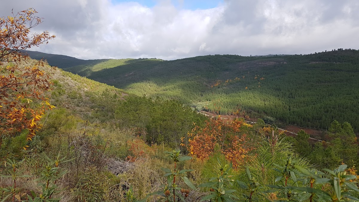 Serra de São Mamede