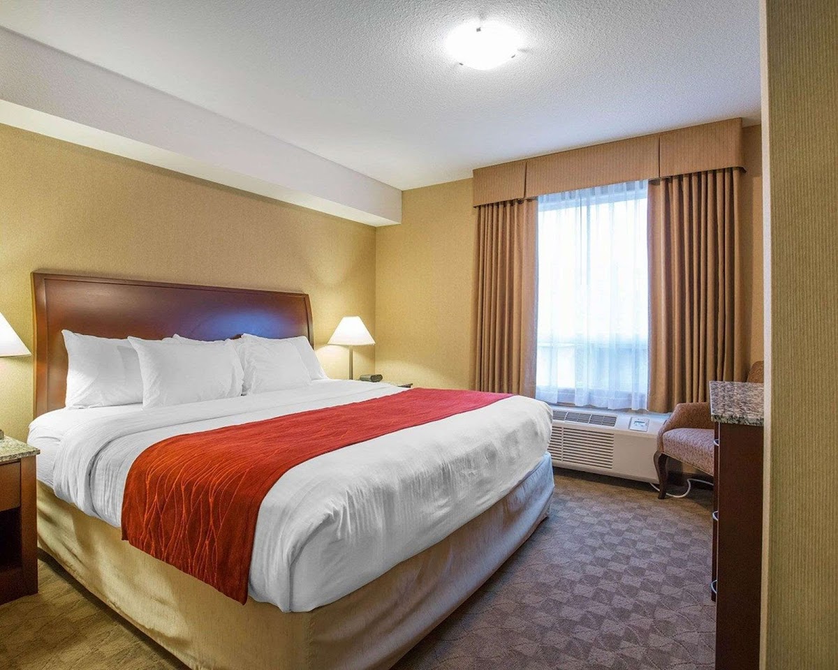 Comfort Inn & Suites photo 2