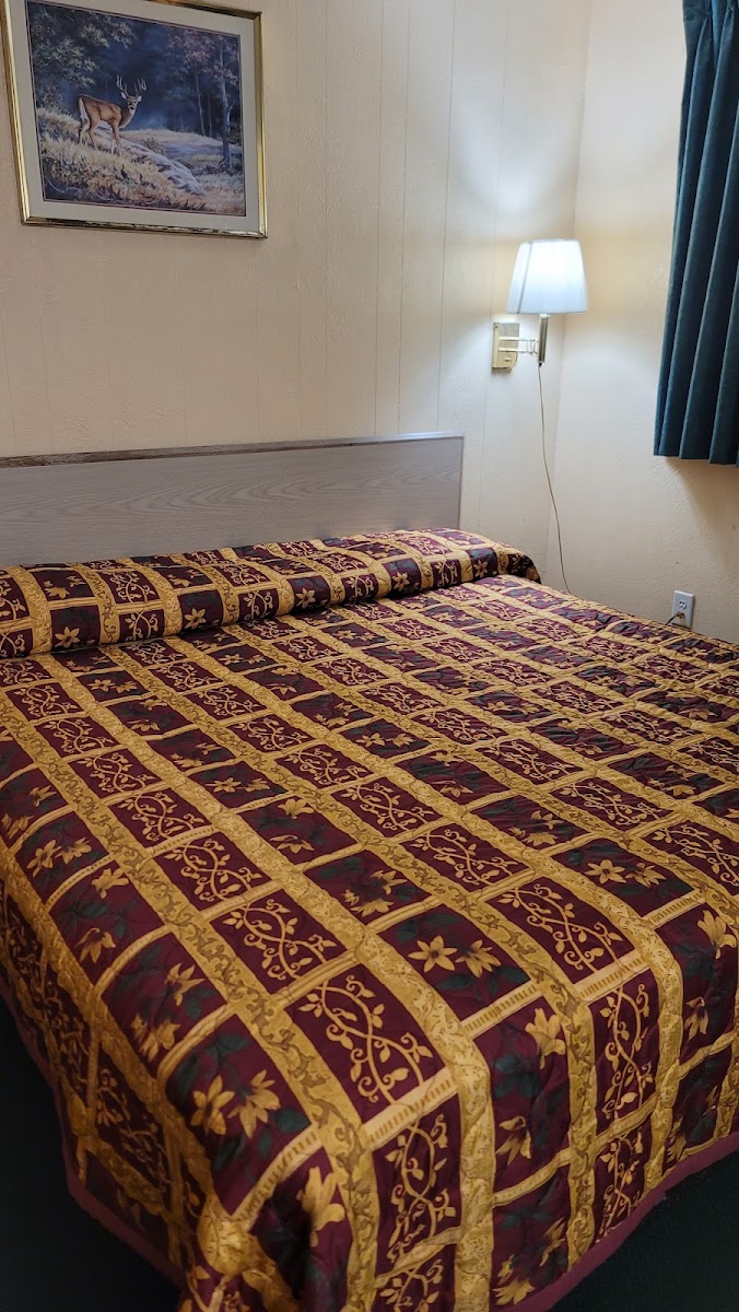 Oasis Motel photo 2
