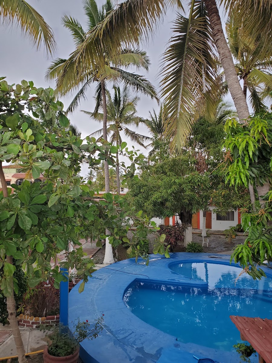 Hotel Oasis photo 3