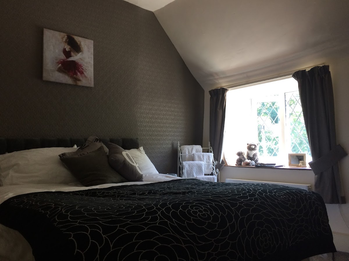 The Swan Inn photo 2