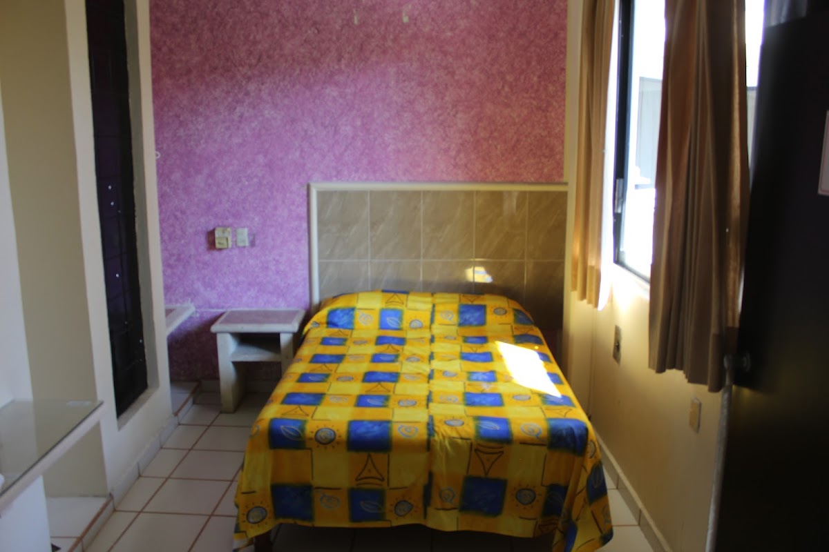 Hotel del Parque photo 2