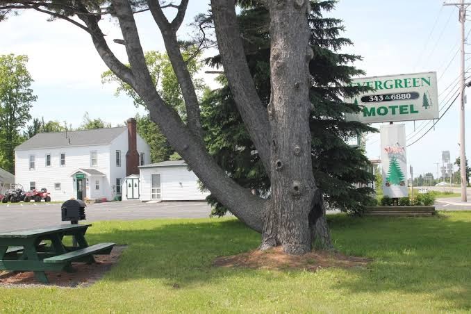 Evergreen Motel