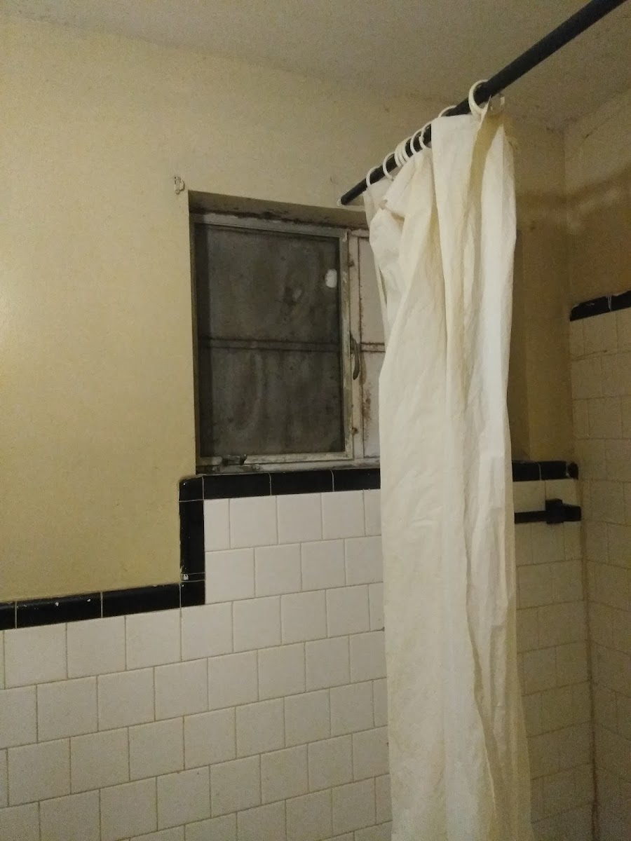 Colonial Motel photo 3