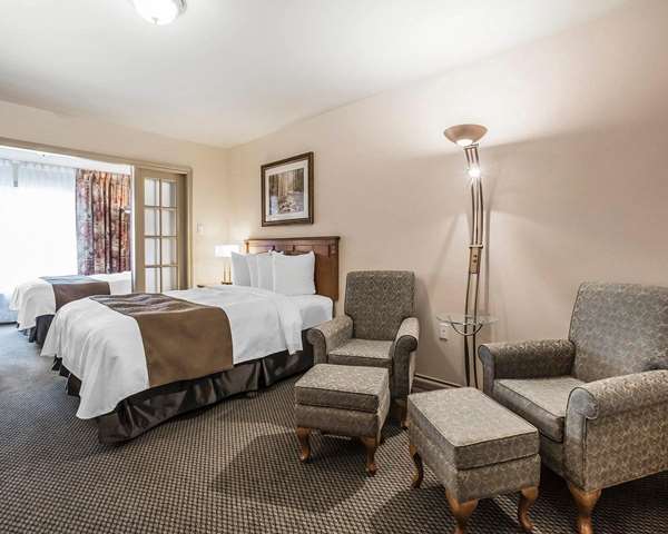 Quality Suites photo 3