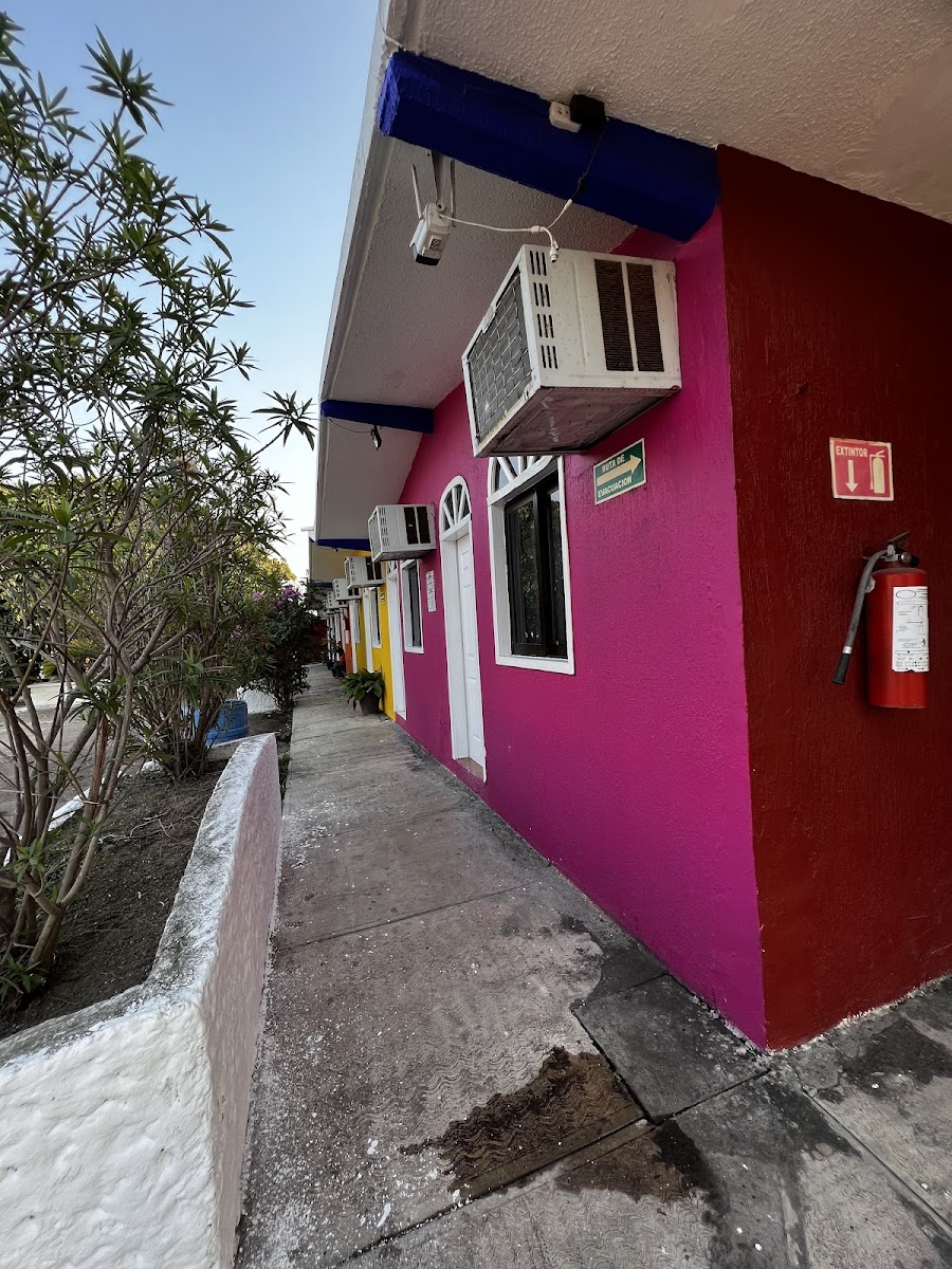 Hotel San Carlos photo 3