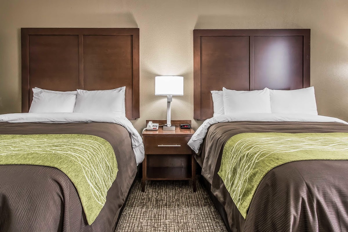 Comfort Inn photo 3
