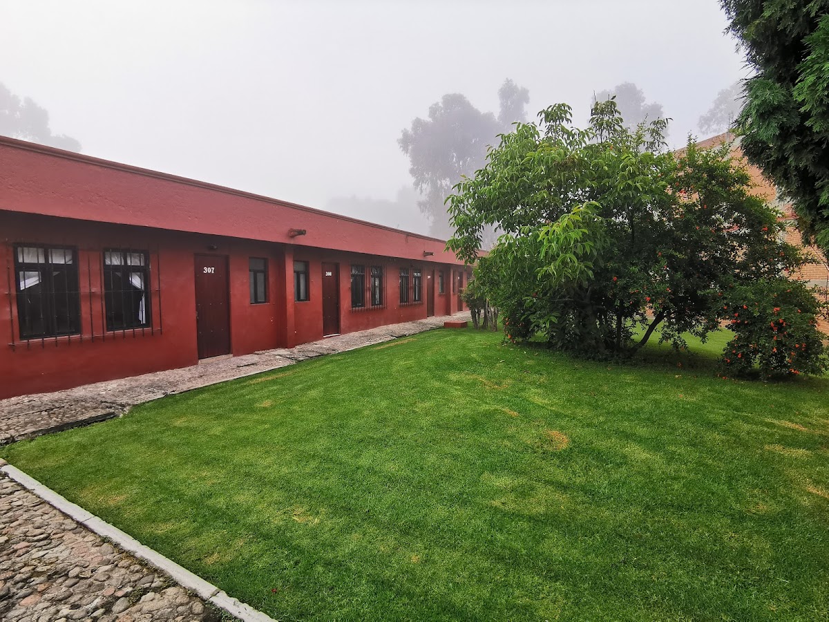 Hotel Los Sauces photo 3