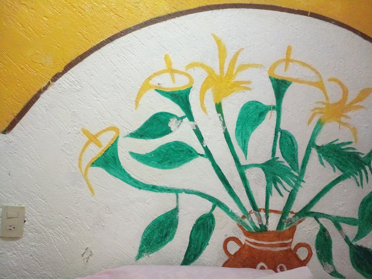 Posada las Flores photo 3