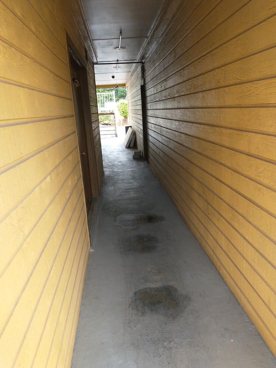 Budget Inn photo 2