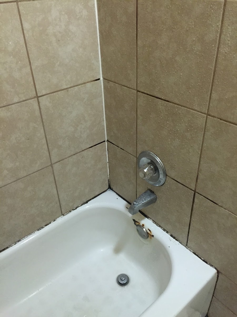 Budget Inn photo 3