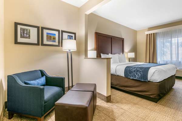 Comfort Suites Batesville photo 2