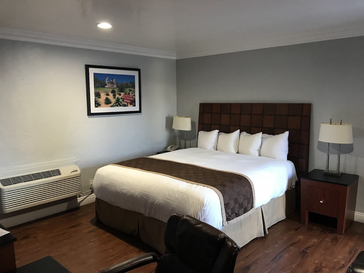 Rex Motel photo 2