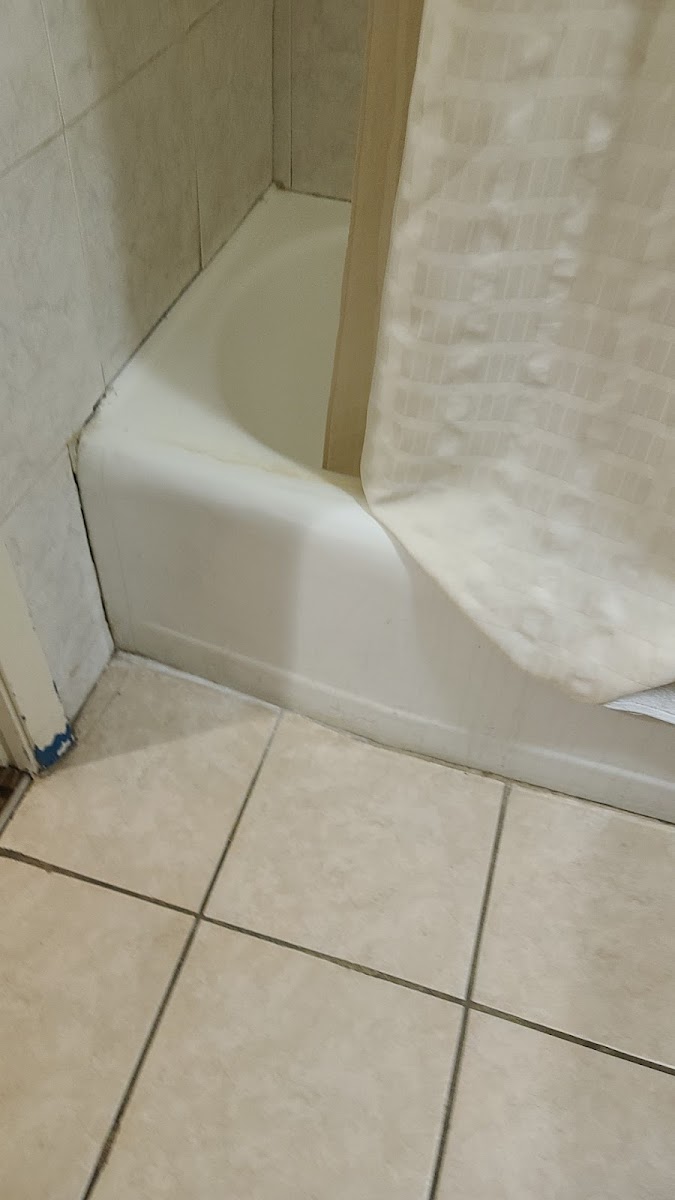 Relax inn photo 3