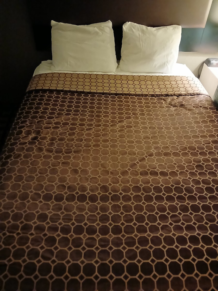 Lotus By Hotel Inn photo 3