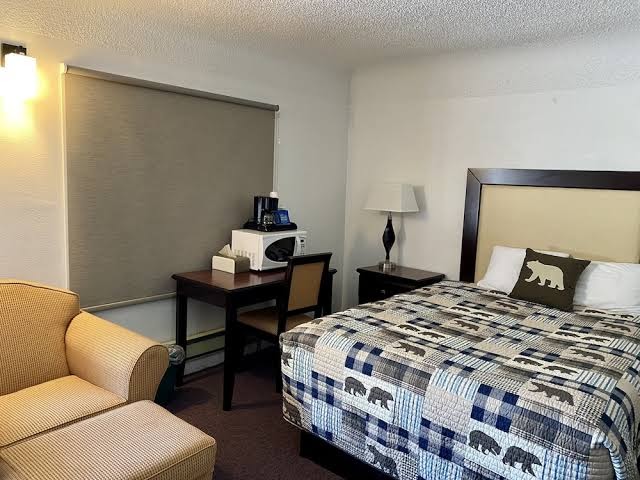 Holiday Lodge photo 2