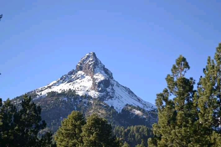 Zapotepetl