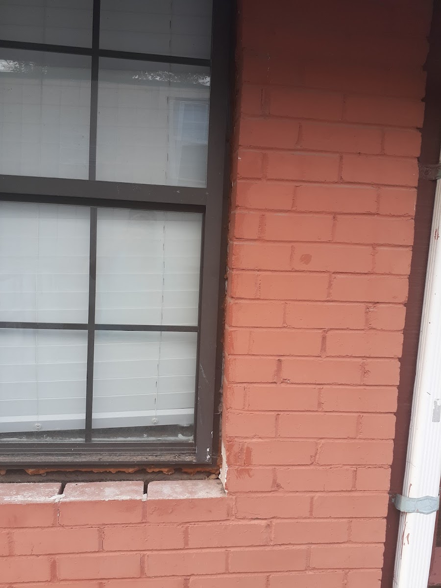 Palomino Motel photo 3