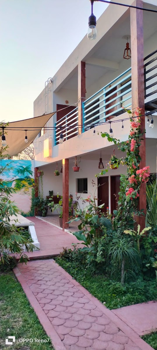 Hotel Albatros photo 3