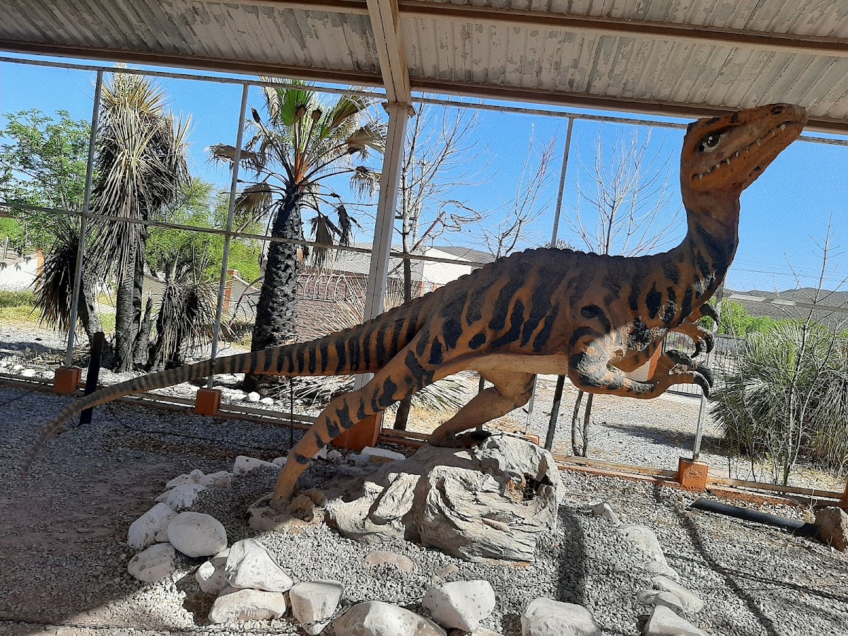 Museo de Paleontología Rincón Colorado
