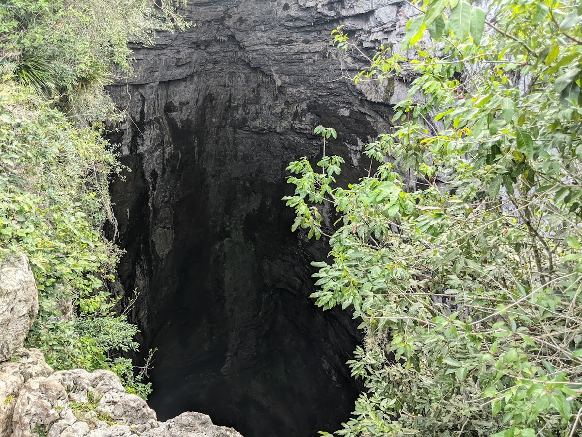 Sotano De Las Huahuas