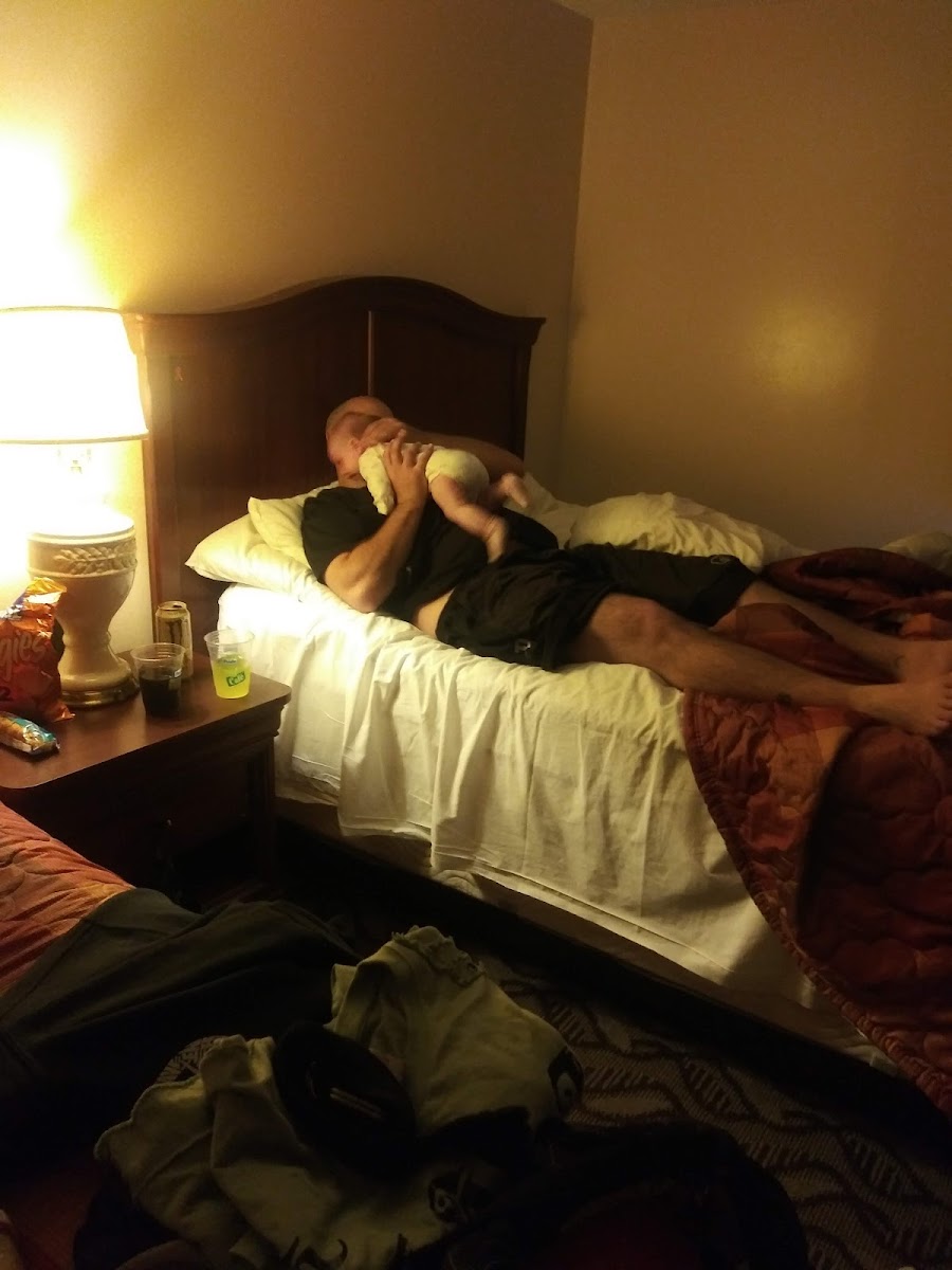 Springfield Inn photo 3