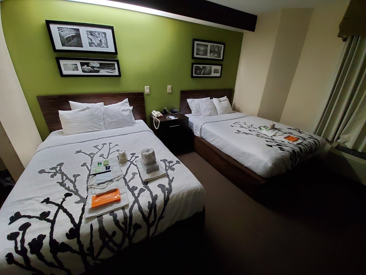 Sleep Inn photo 2